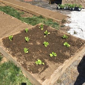 Meet your Posher, Jillian